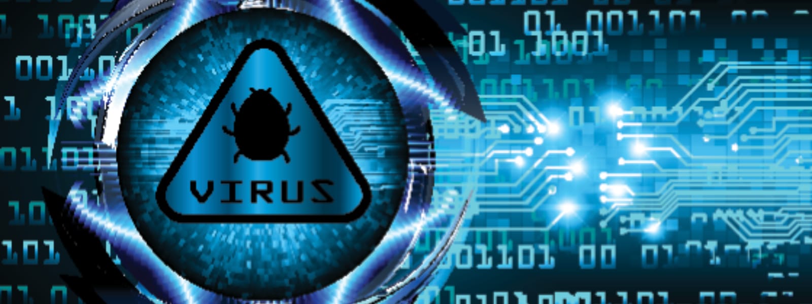 Virus Removal Villa Park IL